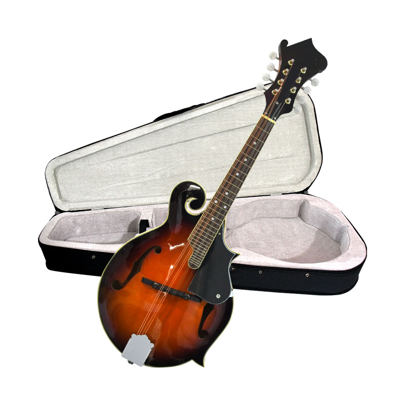 F-Style Mandoline, 8-Saitiges  – Mandolin A Style Bewertung und Preis