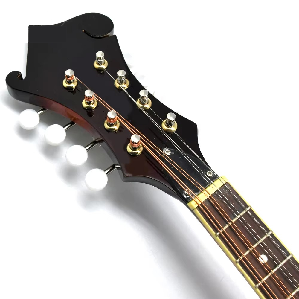 F-Style Mandoline, 8-Saitiges  – Mandolin A Style Bewertung und Preis