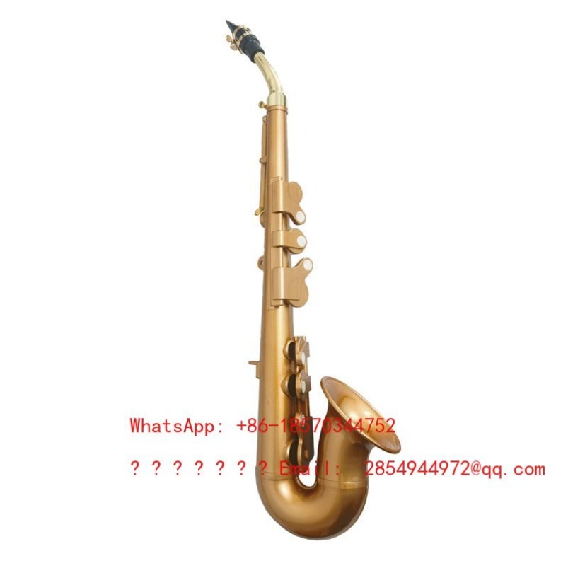 Harz-Saxophon Musikinstrument  – Musical Instrument Easy To Learn For Adults Bewertung und Preis