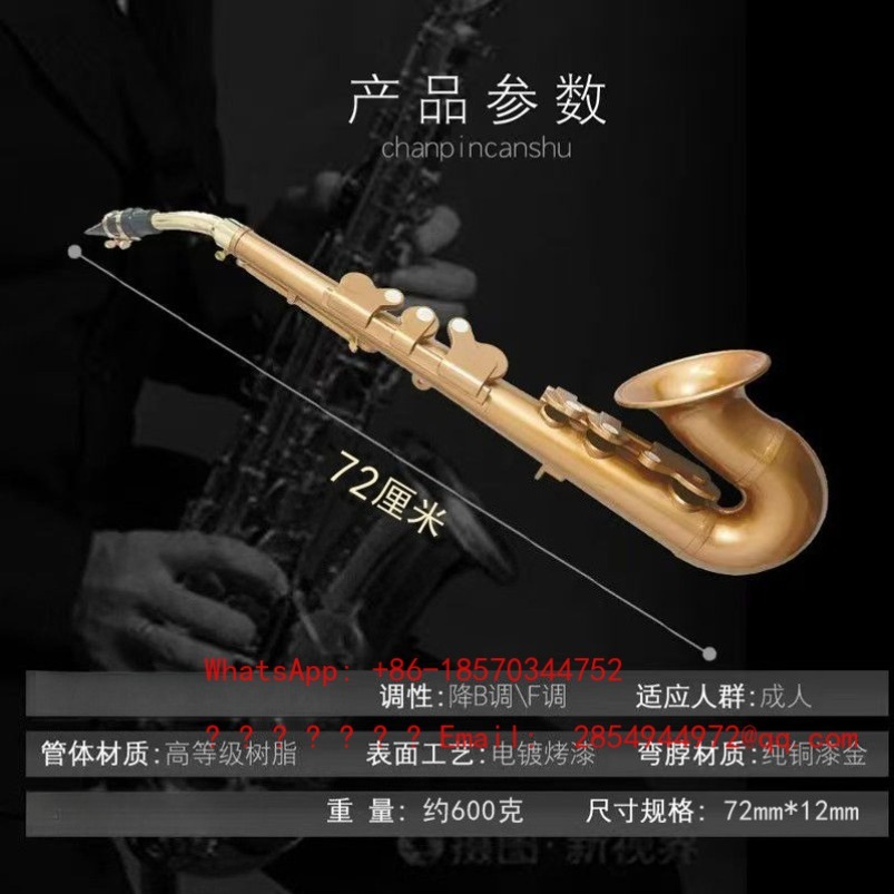 Harz-Saxophon Musikinstrument  – Musical Instrument Easy To Learn For Adults Bewertung und Preis